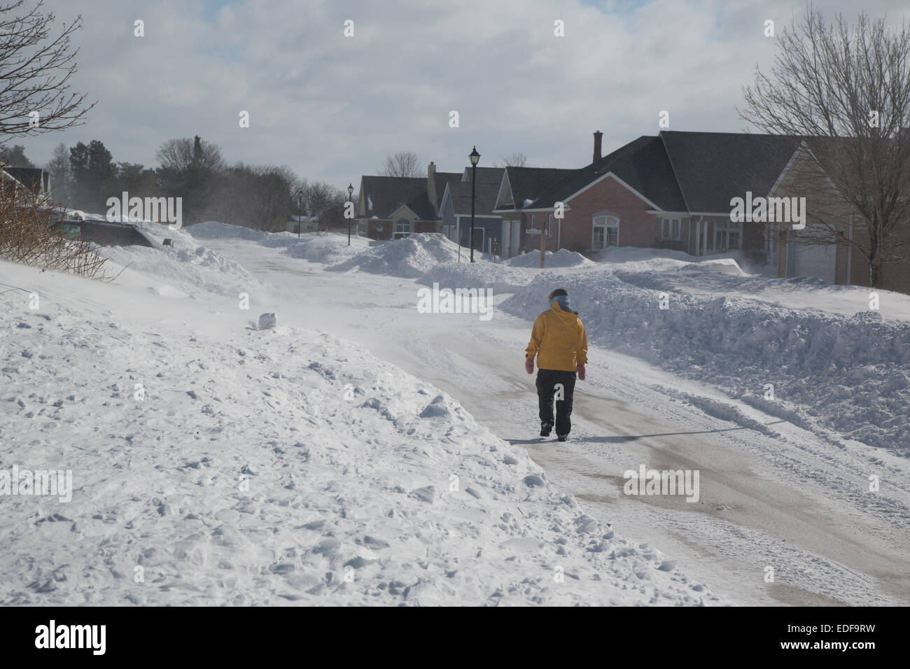 Lone pedestrian walking through suburbia while the wind whips the snow wildly around her. Stock Photo