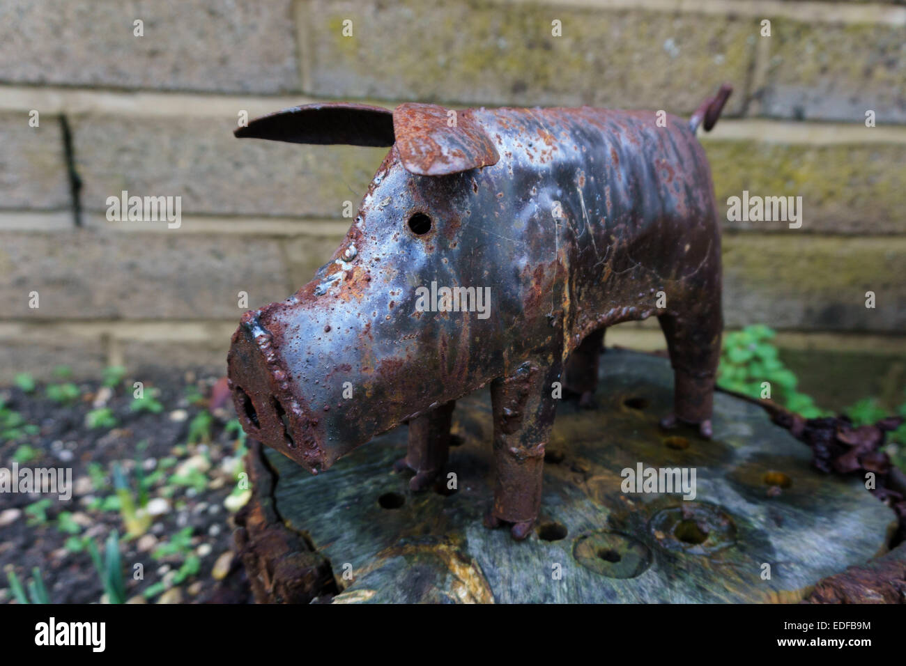 Percy the metal pig chilling on a tree stump Stock Photo