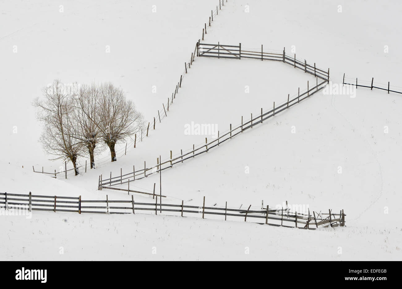 countryside in winter time Stock Photo