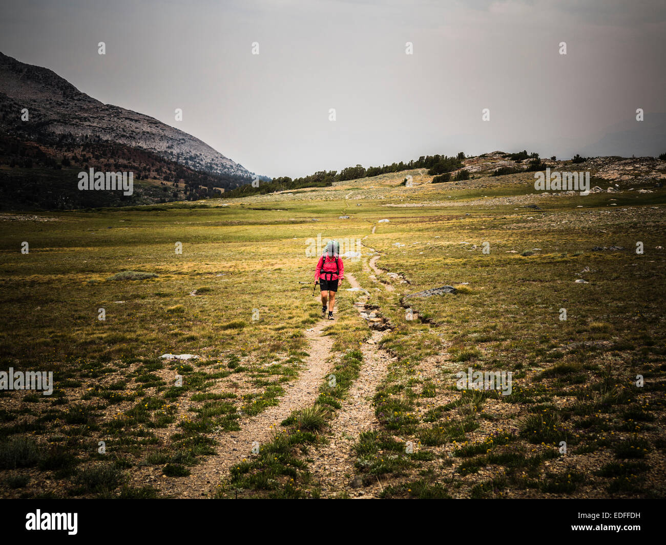 Over a backpacker hi-res stock photography and images - Alamy