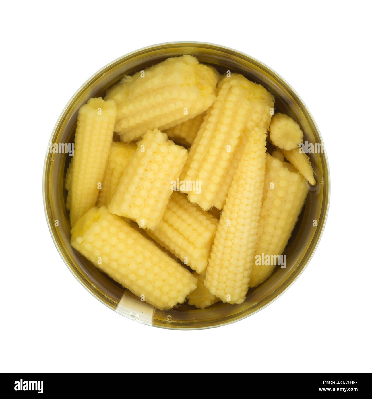 Top view of small baby corn nuggets in an opened can atop a white background. Stock Photo