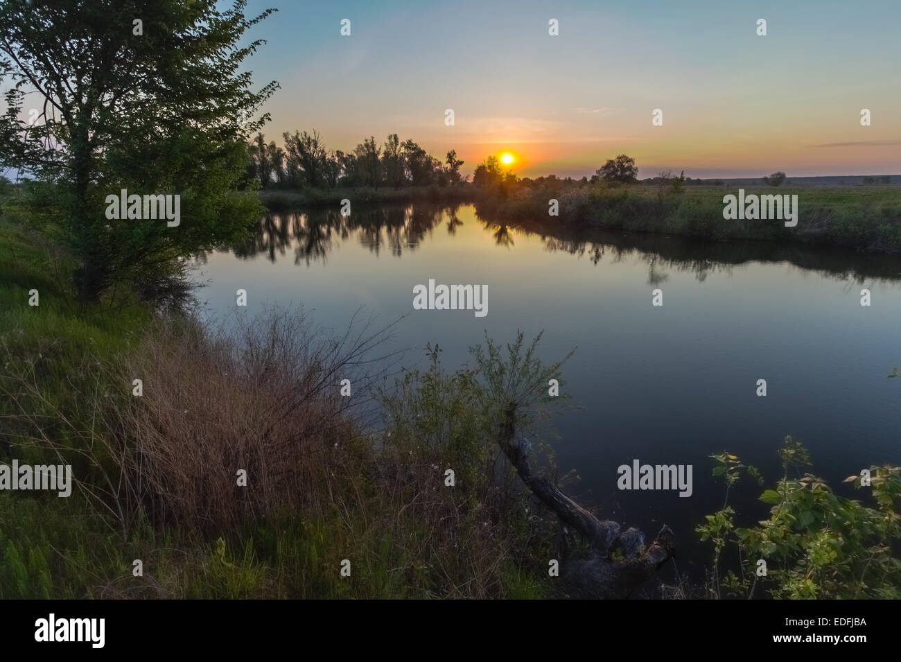 Reflection of trees on the shore at sunrise rays Stock Photo - Alamy