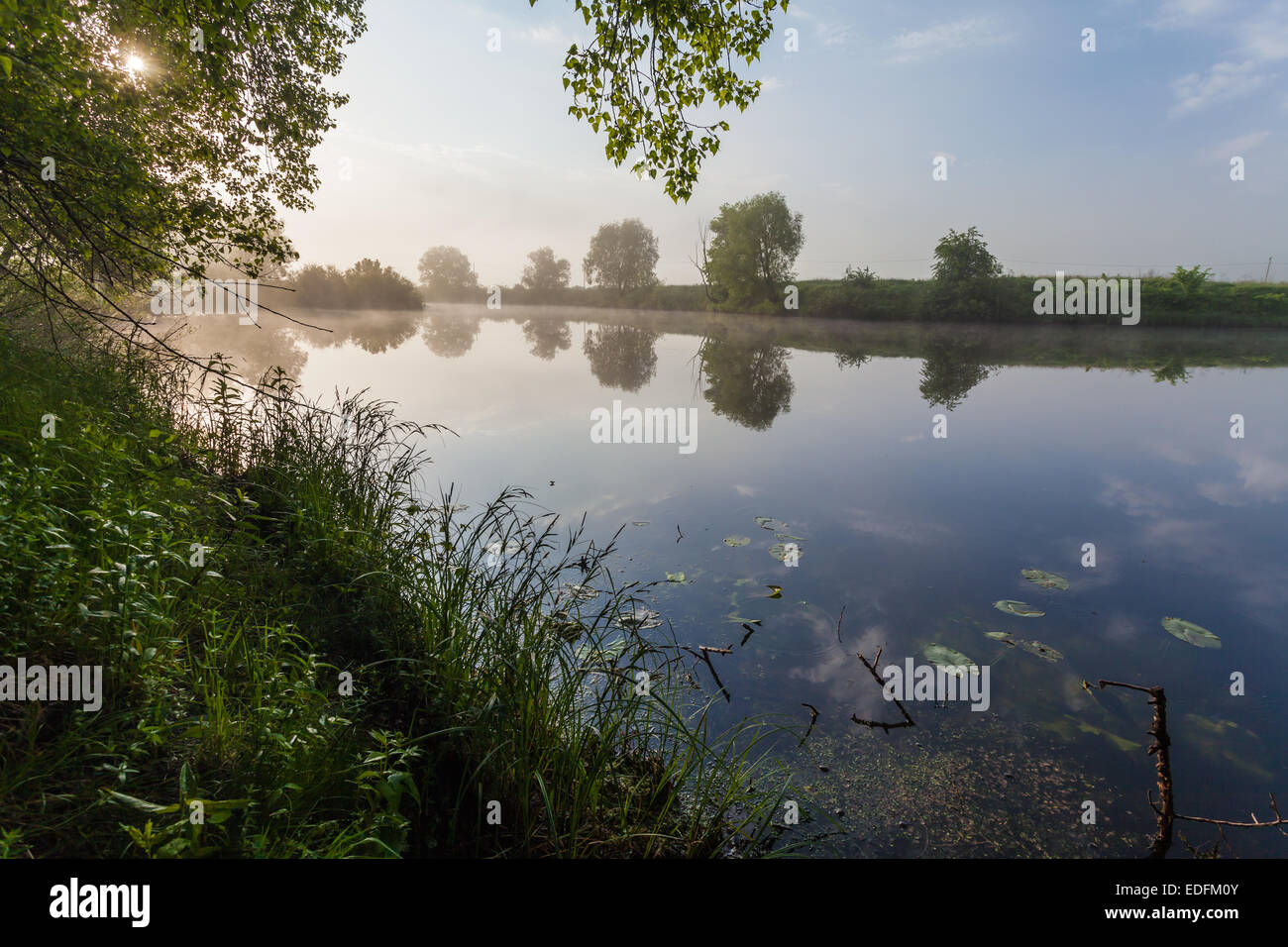 Reflection of trees on the shore at sunrise rays Stock Photo - Alamy