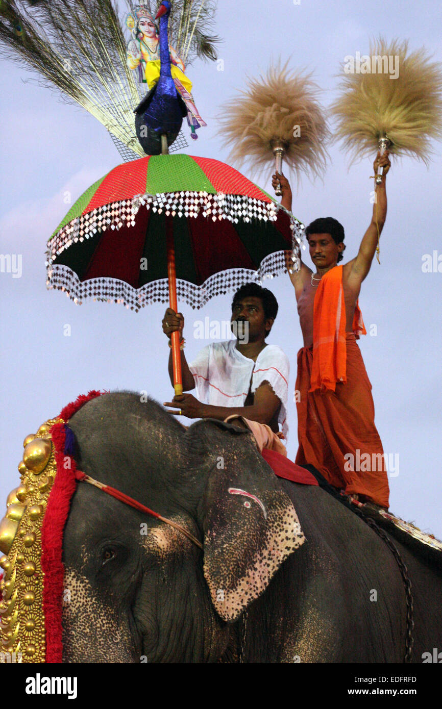 Ornamented elephant in a procession to mark the end of the Pooram Festival in Kollam (Quilon), Kerala, India Stock Photo