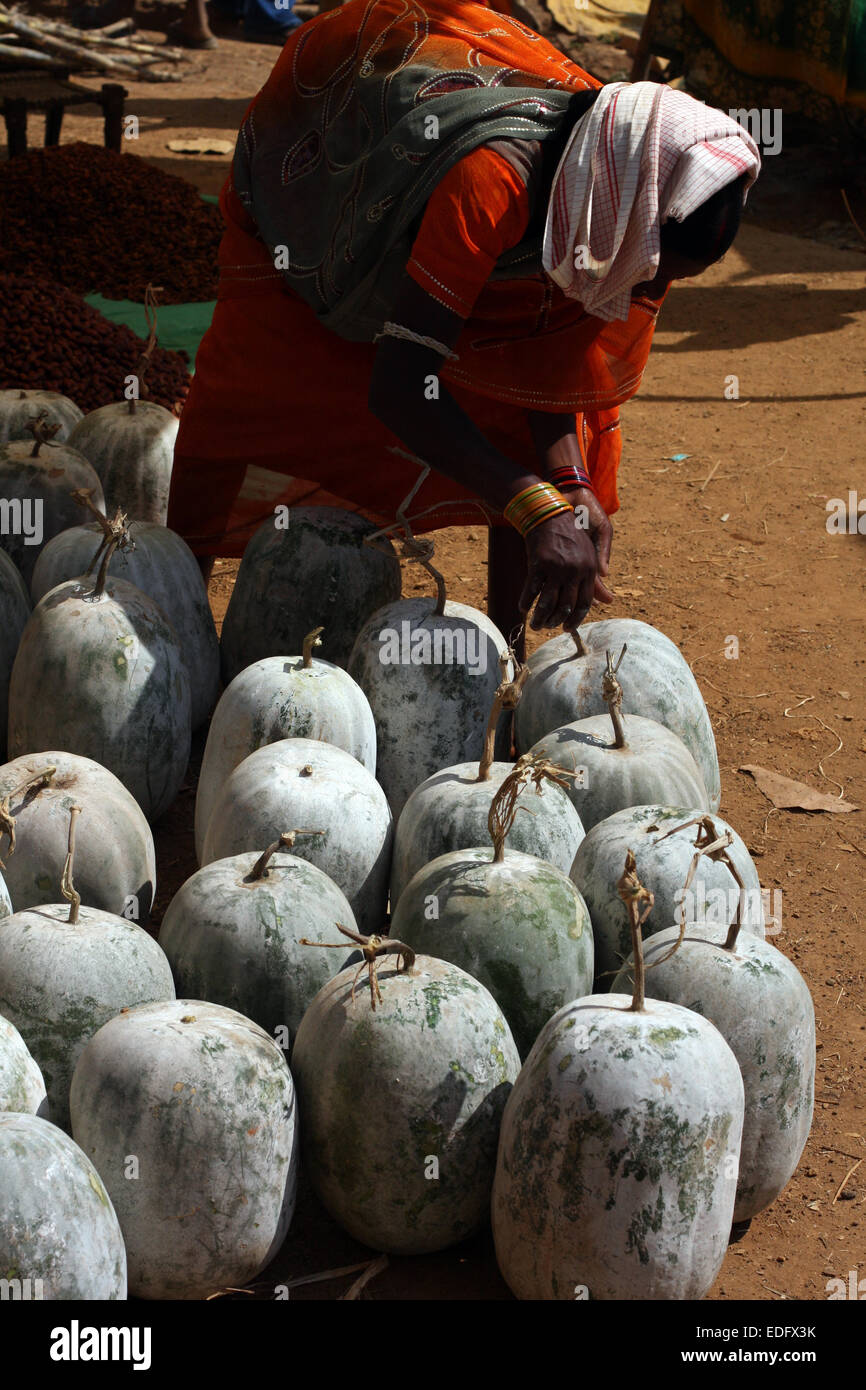 Adivasi woman chooses a watermelon in Tokapal market, Chhattisgarh, Madyha Pradesh, India Stock Photo