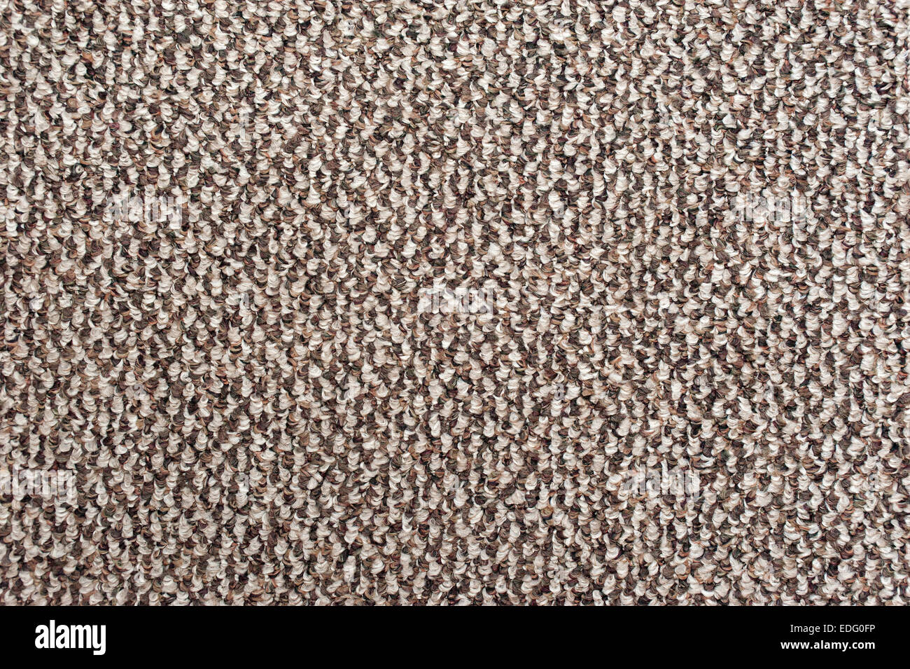 Rug texture closeup Stock Photo Alamy
