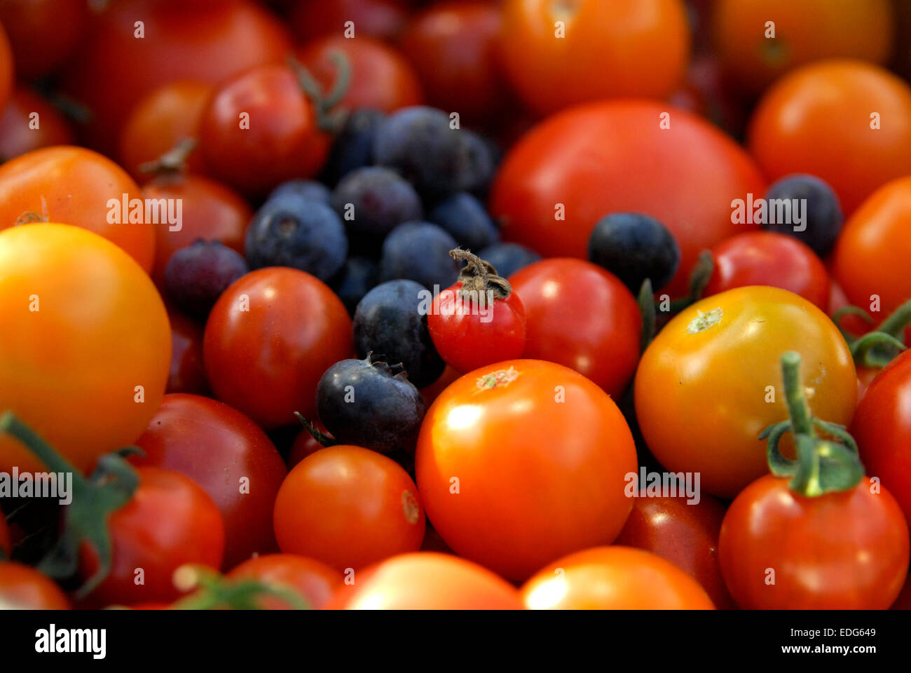 Fruit and Vegetable Harvest showing Tomatoes and Blueberries Stock