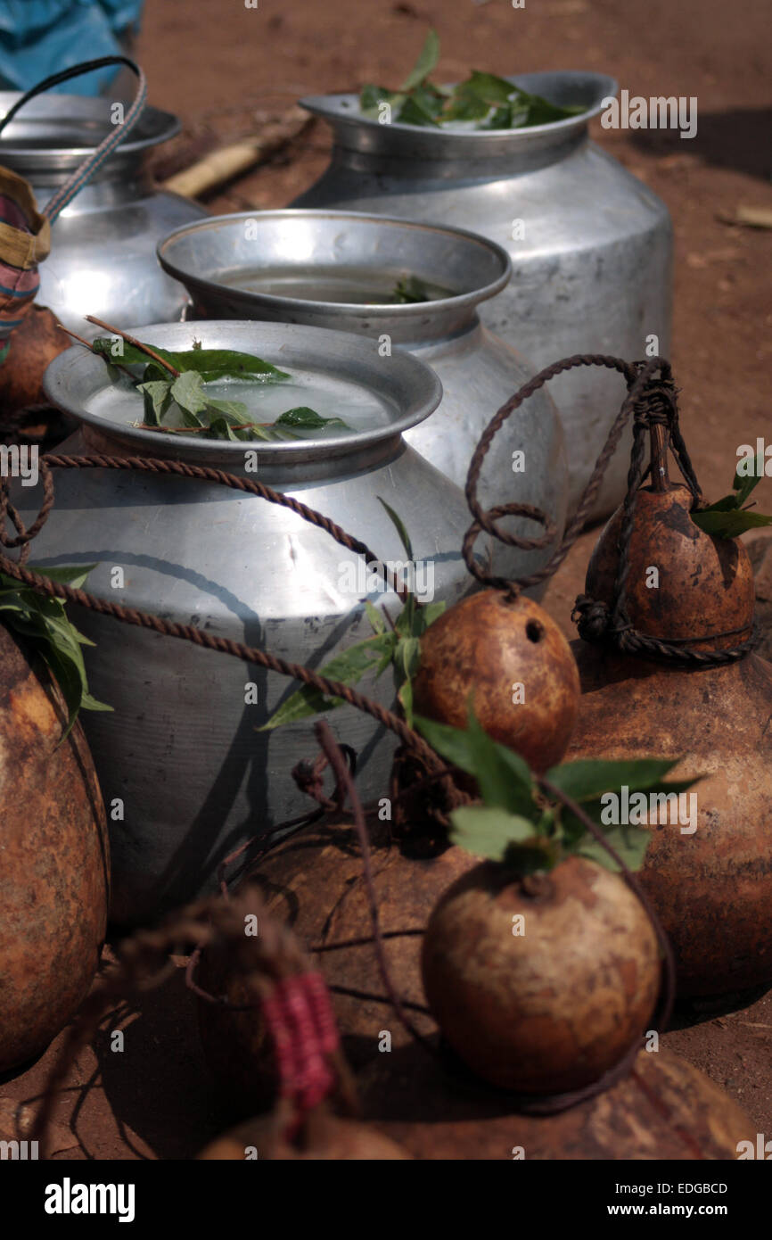 Salpeer, a liquor made from the leaves of the cashew tree, with traditional gourds, at Onkadelli Thursday market, Orissa, India Stock Photo
