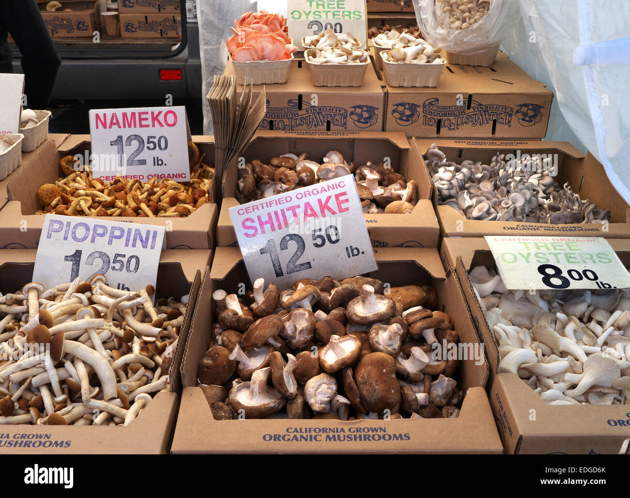 Farmers Market Ferry Building Embarcadero Organic Mushroom stall in