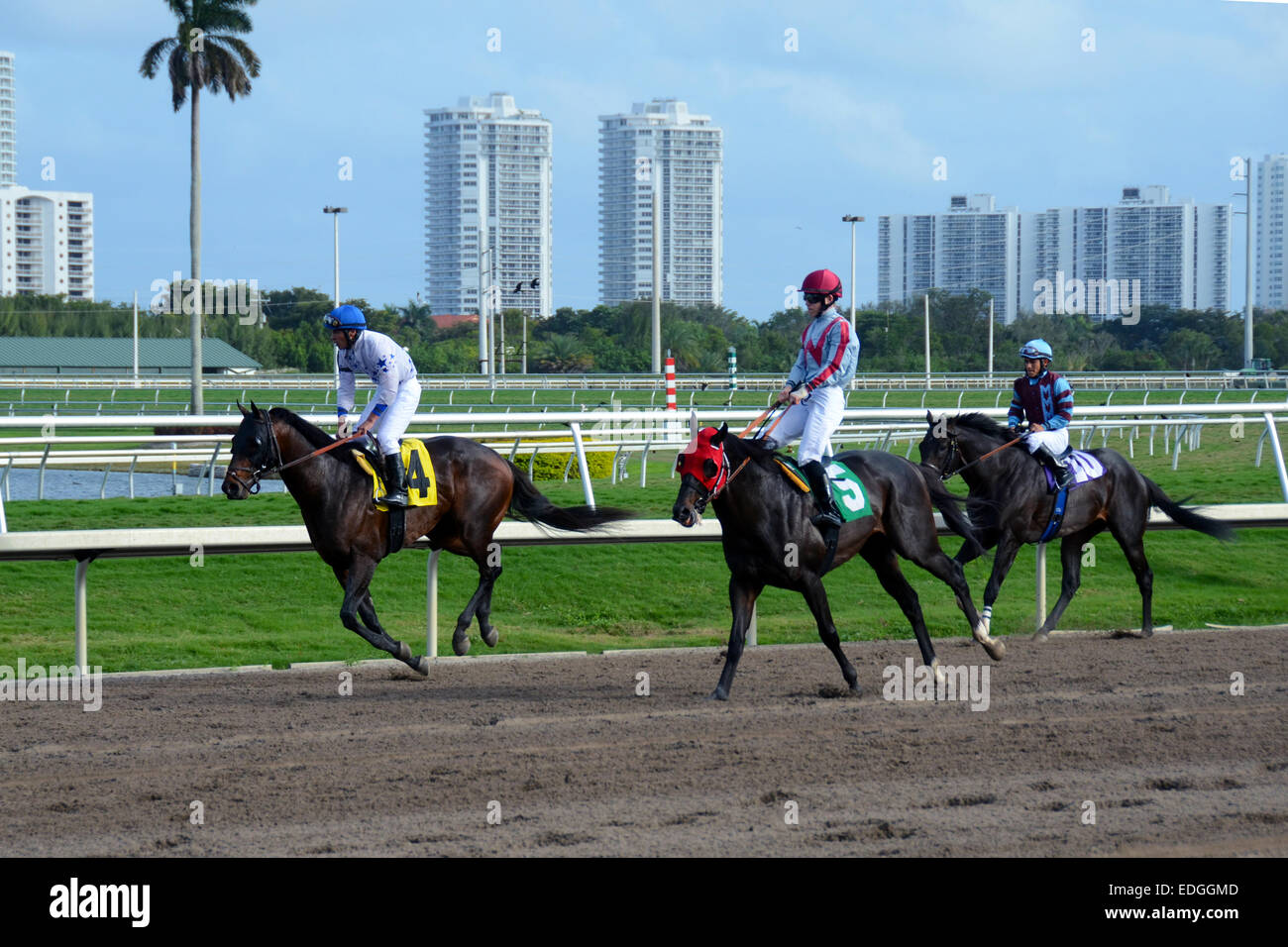 Miami, USA - February 4, 2011: Horse racing teams practice on a race day at Gulfstream Park outside of Miami, Florida Stock Photo