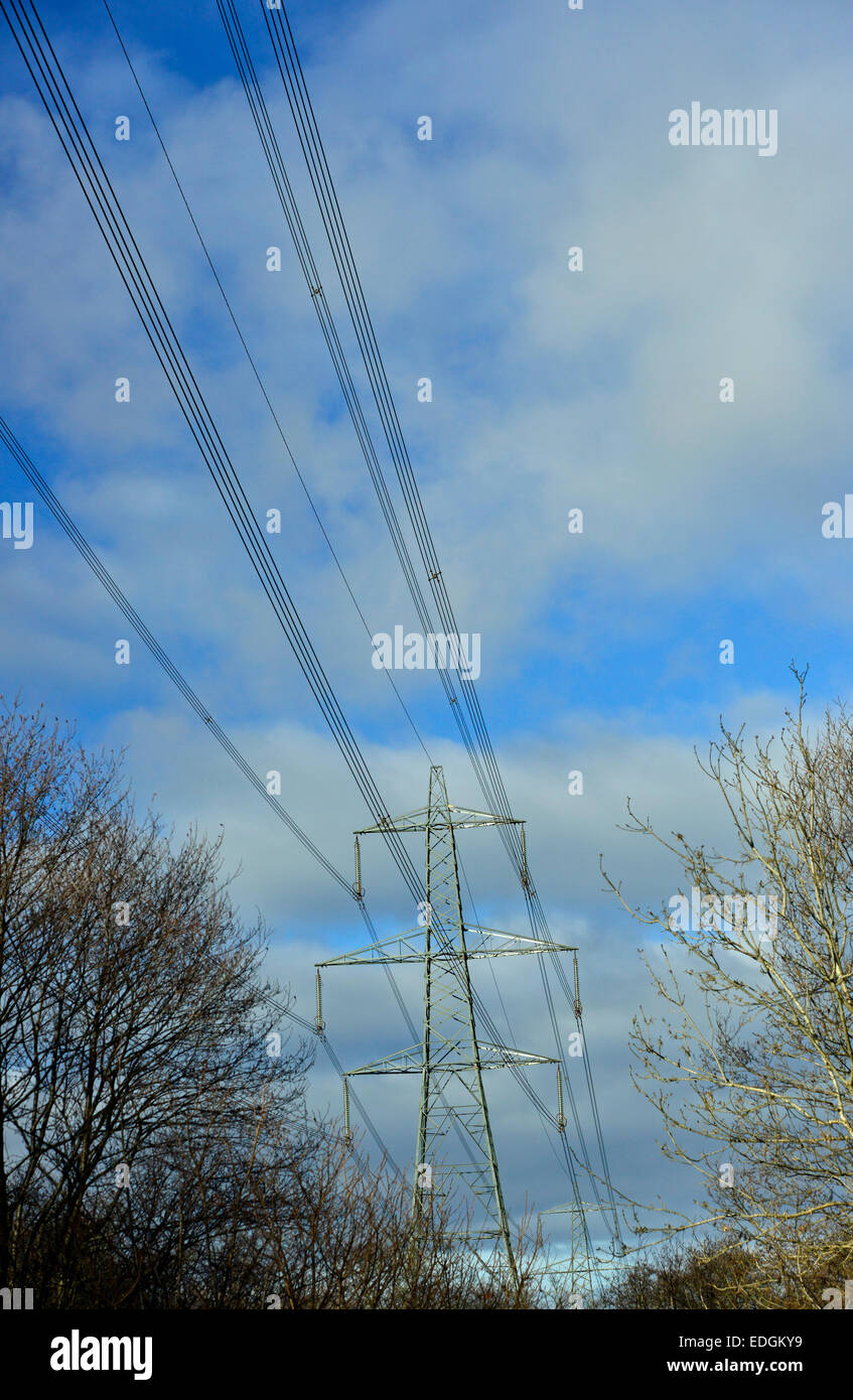 Electricity Transmission System High Voltage showing cables, wires and towers through tree clearings Stock Photo