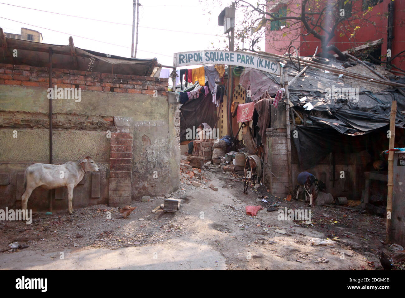 Shack houses near Central Metro, Kolkata (Calcutta), India Stock Photo