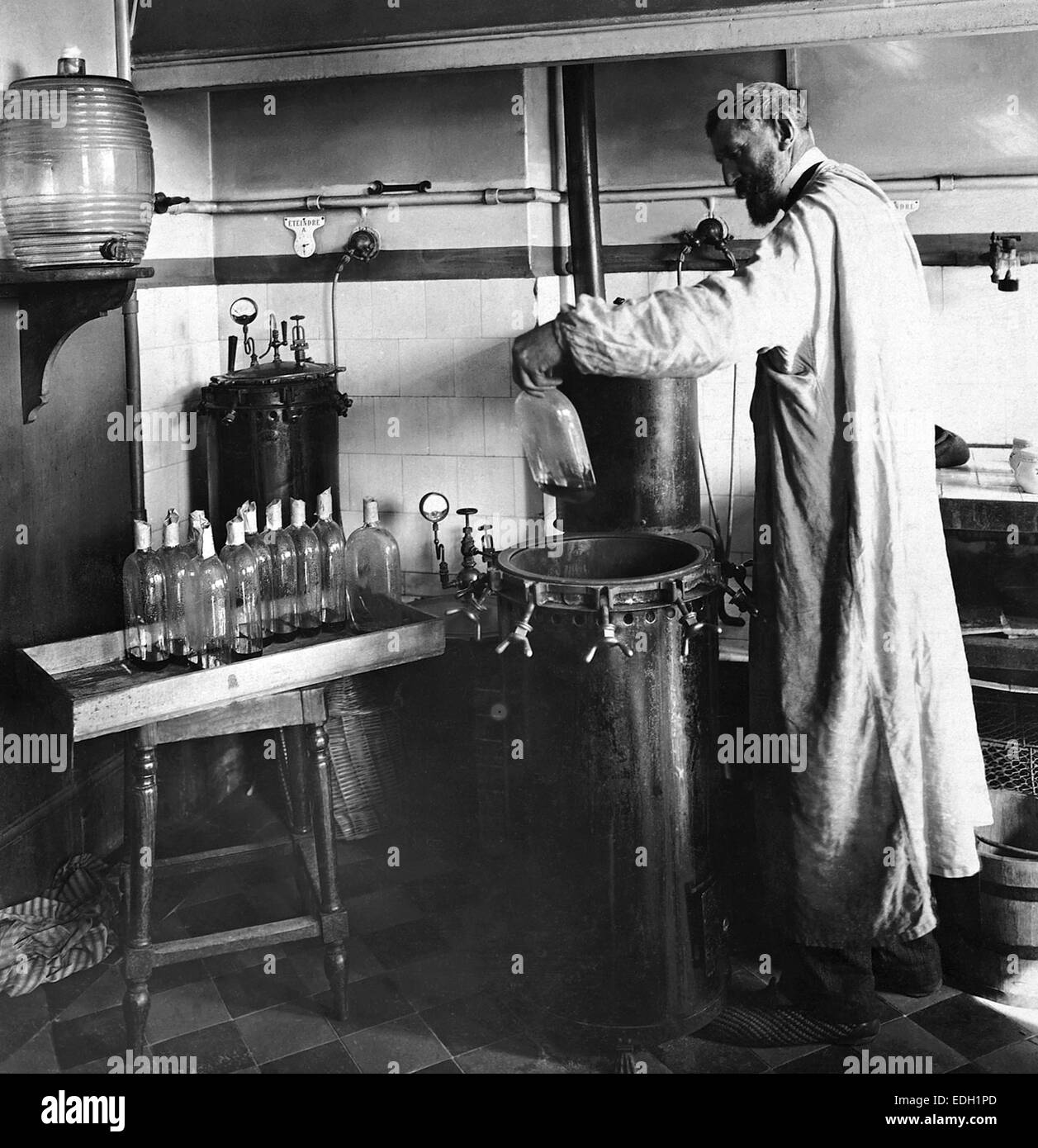 Chemist Louis Pasteur, France Stock Photo