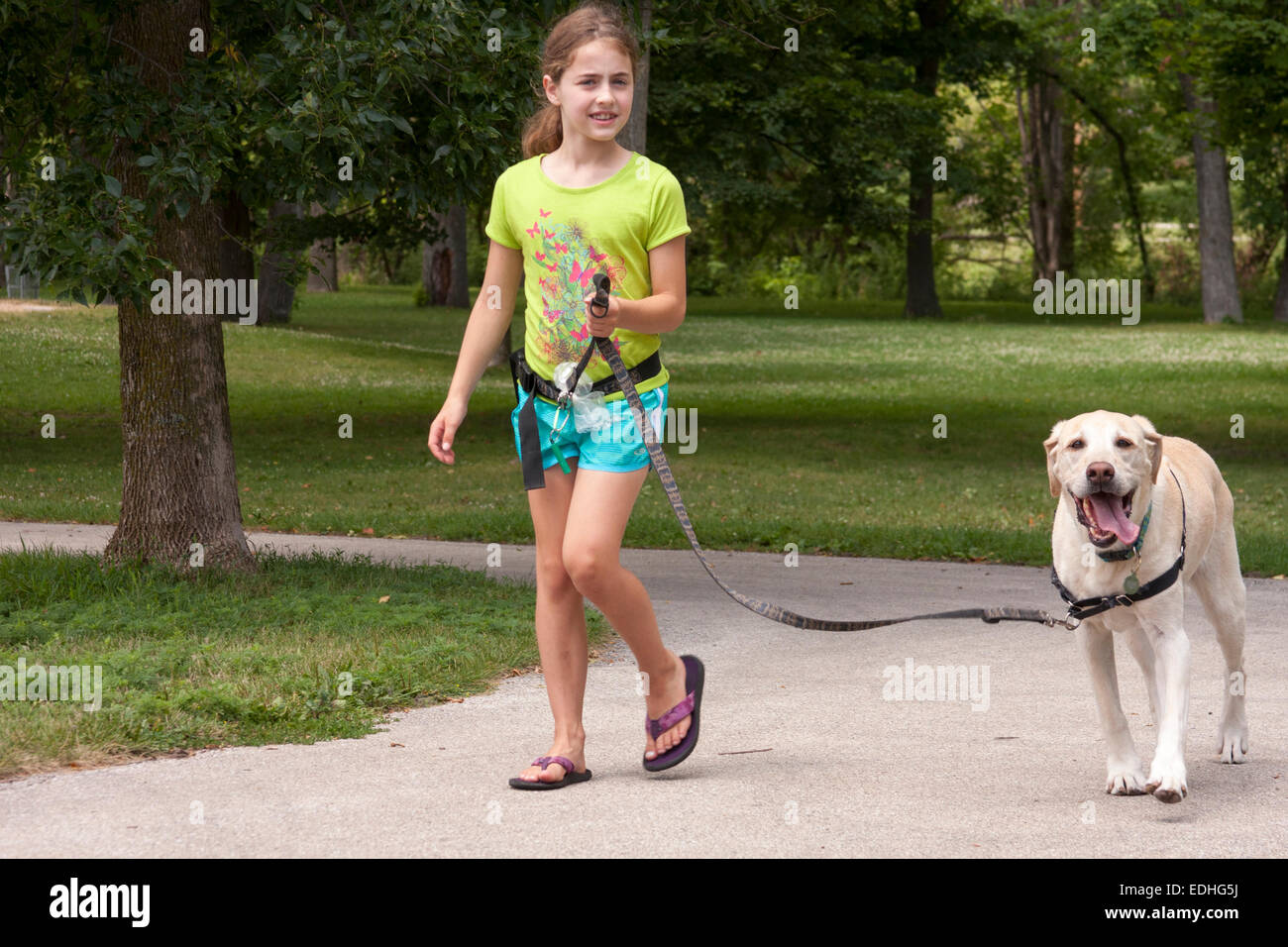 A young girl with her Labrador dog going for a walk in a park Stock Photo