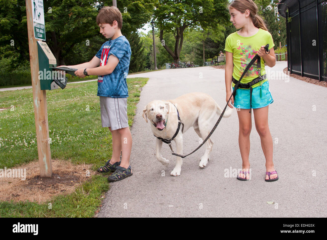 Why Do Dogs Walk While They Poop