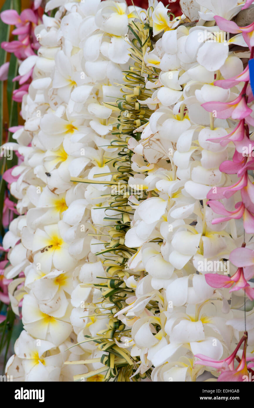 Republic of Vanuatu, Torres Islands, Loh Island. Tropical flower leis. Stock Photo