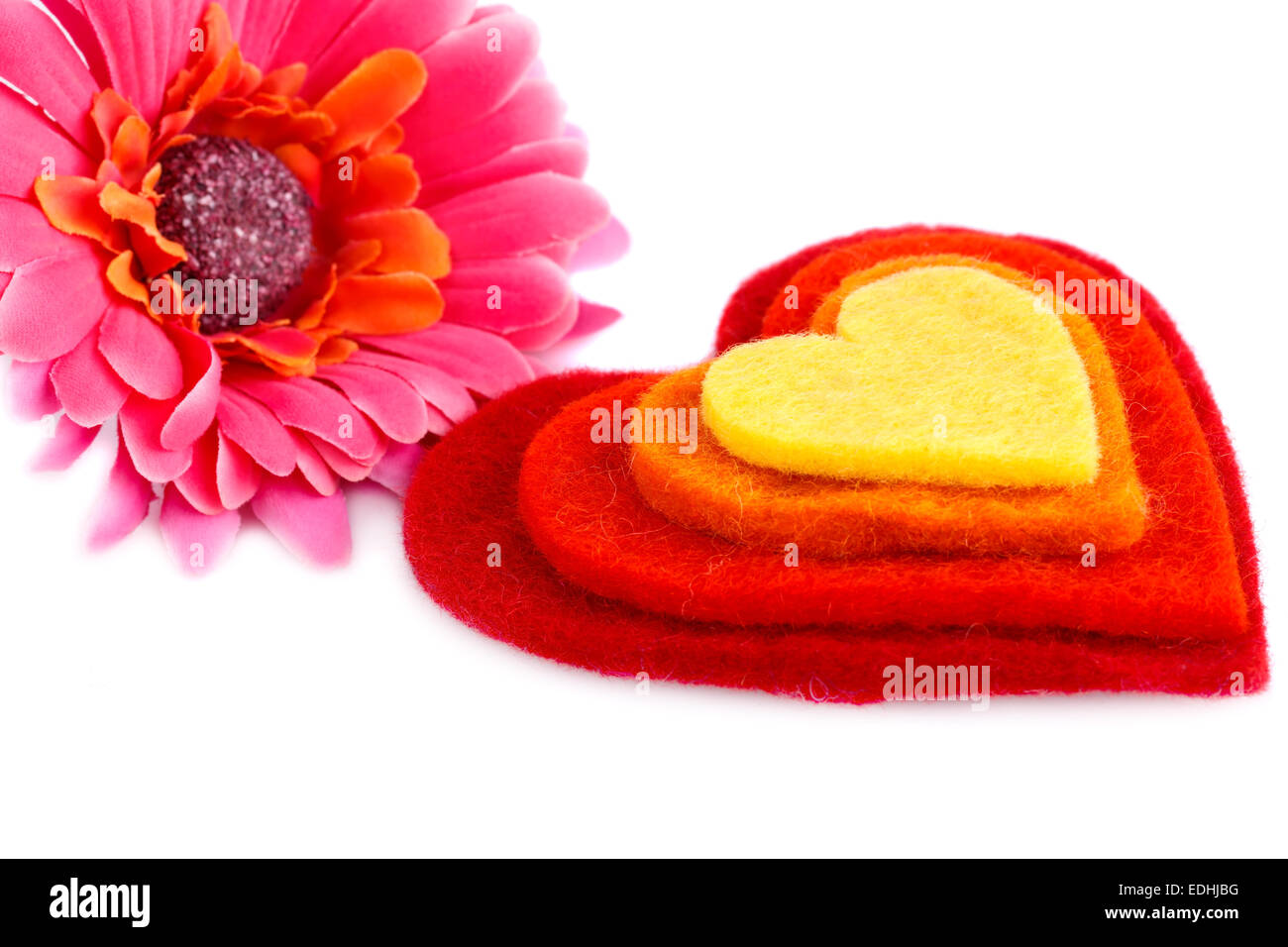 Colorful hearts, daisy flower on white background. Stock Photo