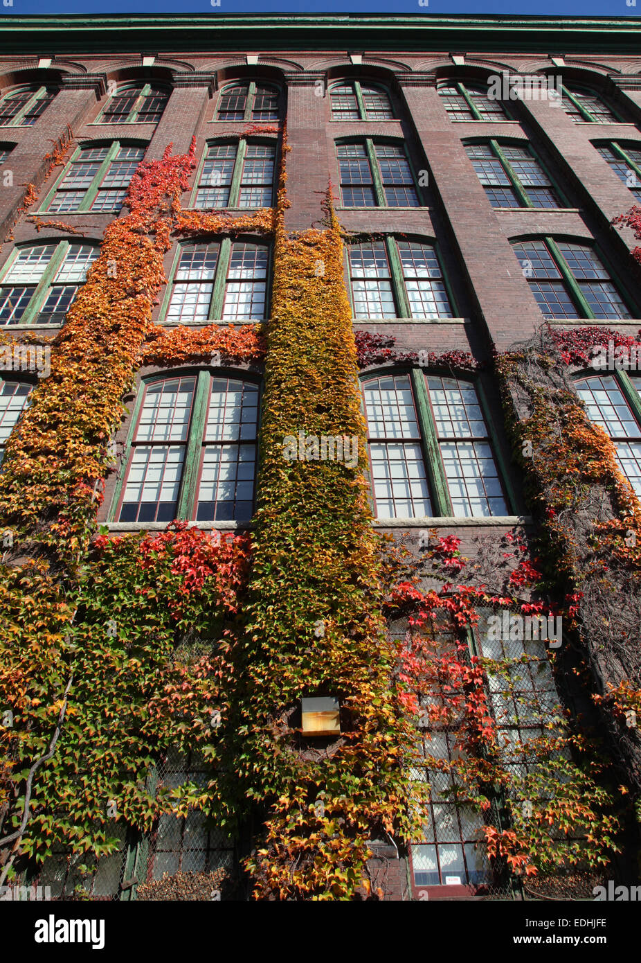 Old city buildings Toronto Canada Stock Photo - Alamy