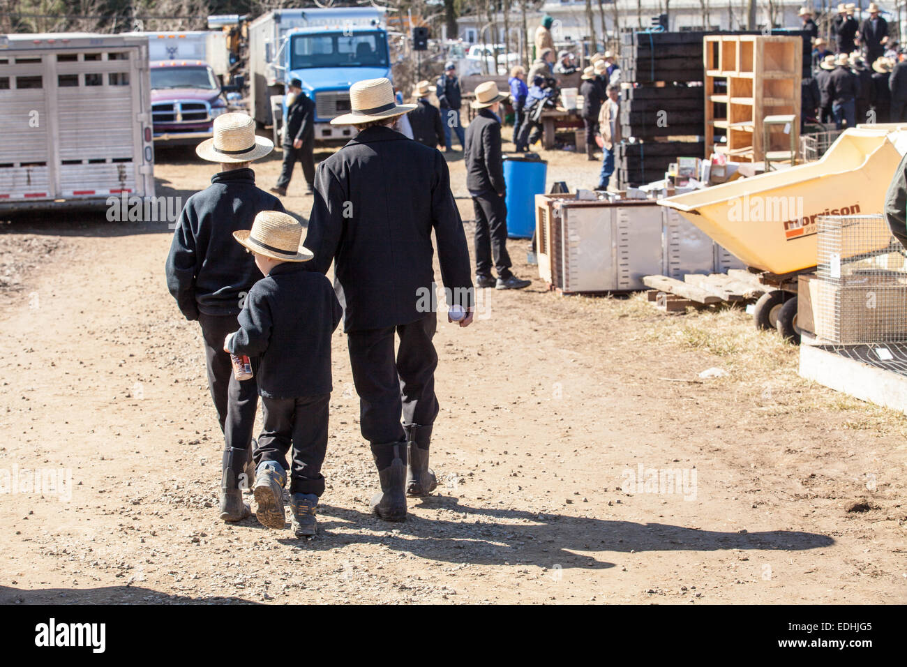 Amish at the annual Spring Mud Sale and  public auction in Gordonville, PA, which benefits the local fire company. Stock Photo