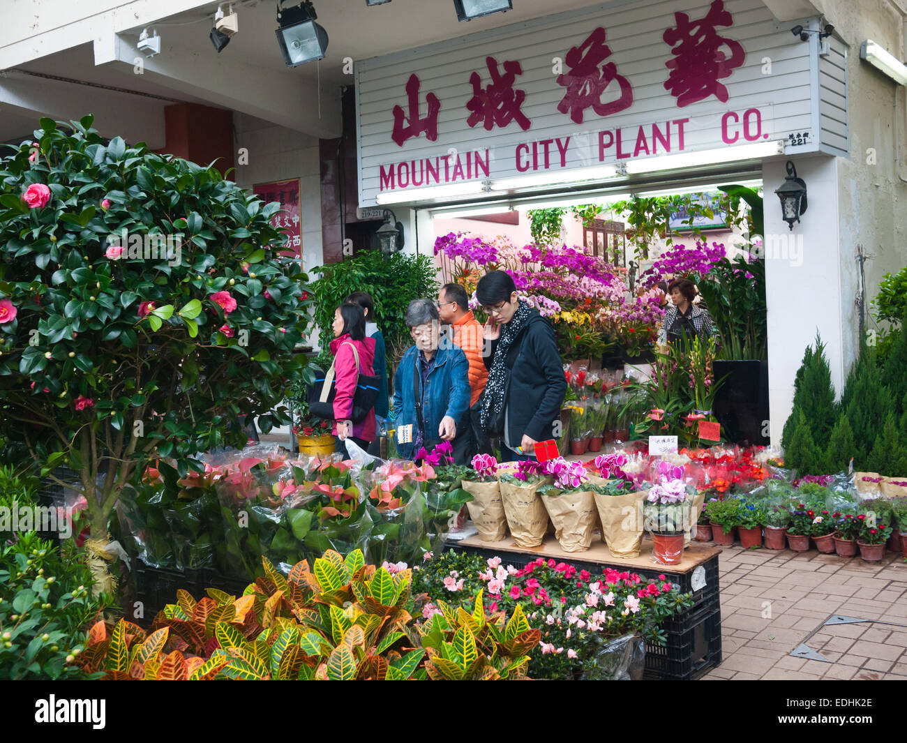 Hong Kong Flowers Market in Mong Kok Stock Photo Alamy