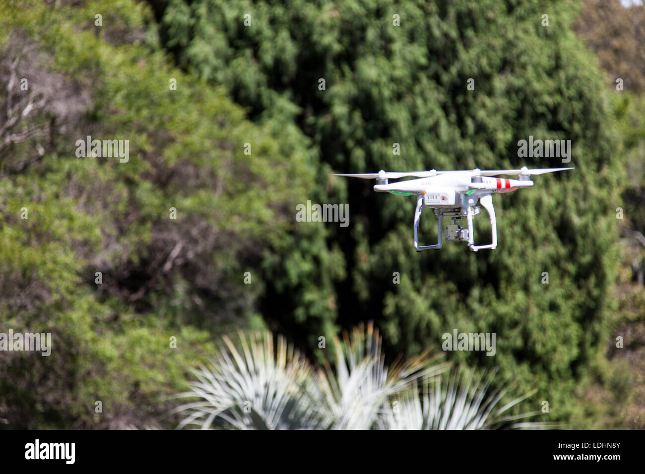 Drone camera hovering in a park in Australia Stock Photo Alamy