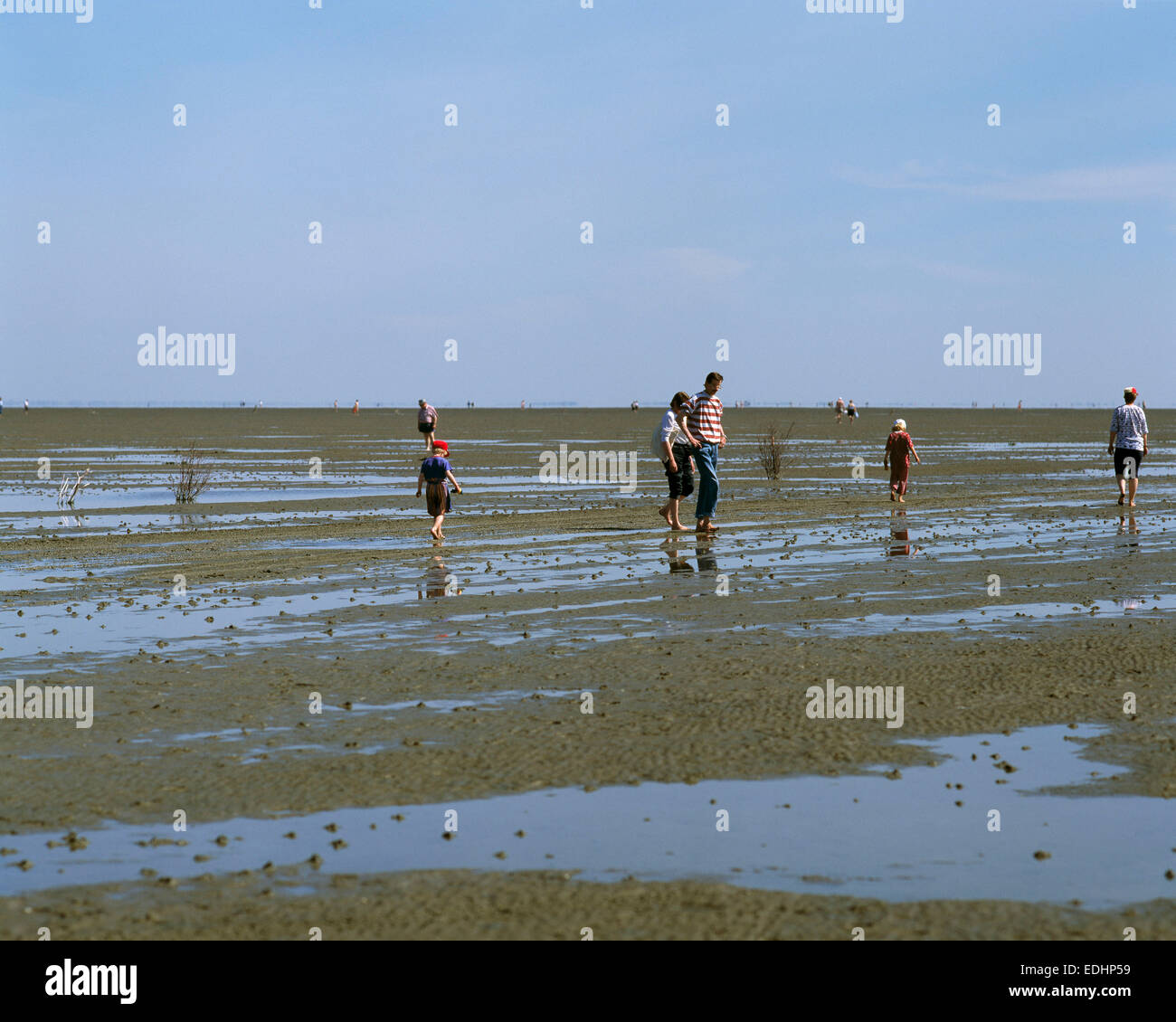 D-Cuxhaven, Elbe, North Sea, Lower Saxony, D-Cuxhaven-Duhnen, Wadden Sea at  low water, people in the mudflat, mudflat hiking, tourists Stock Photo -  Alamy