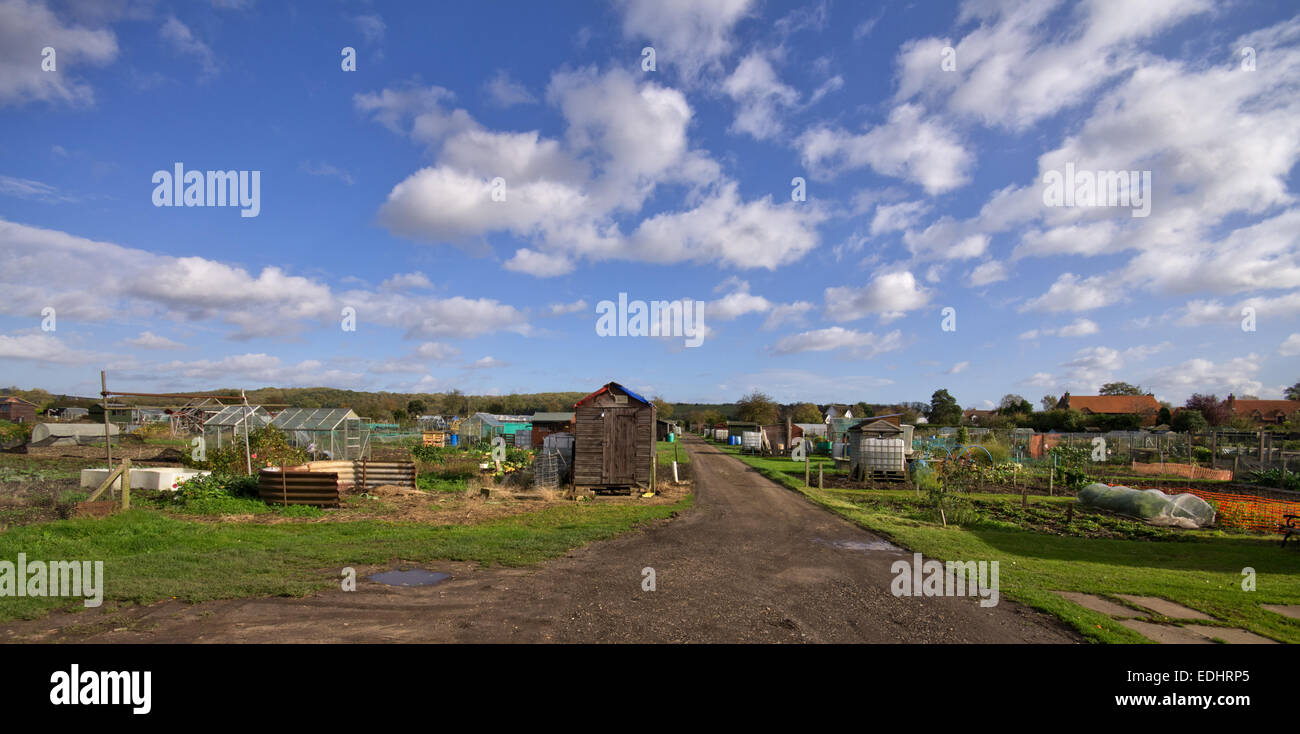 Cumulus humilis over the allotments. Stock Photo