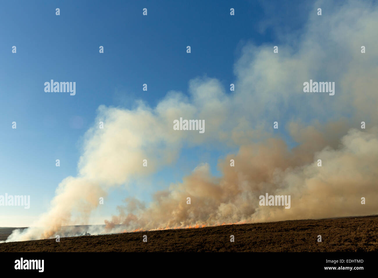 A farmer burning heather on Egton Moor in mid-winter, The North Yorkshire Moors, England. Stock Photo