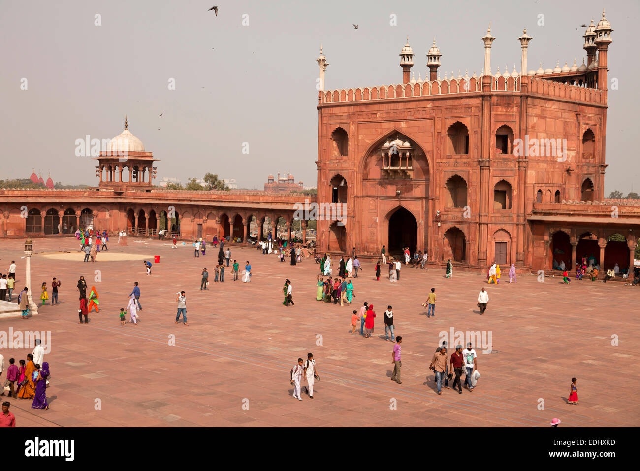 Jama masjid delhi hi-res stock photography and images - Alamy Jama masjid delhi hi-res stock photography and images - Alamy