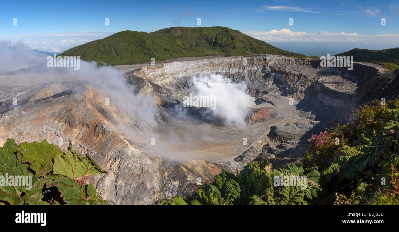 Poás volcano with plume, Laguna Caliente crater lake, Poás Volcano