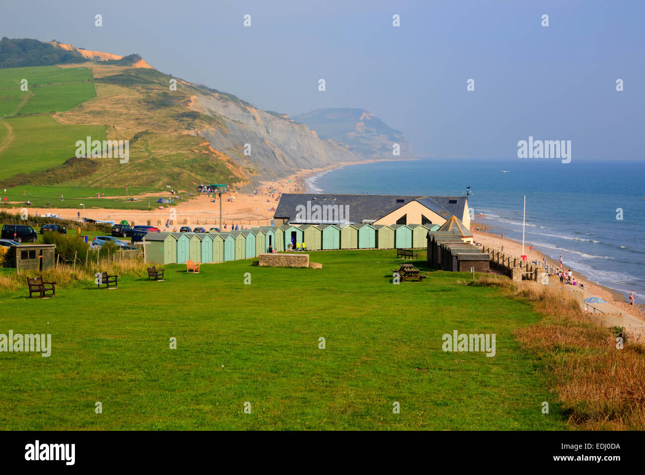 Dorset coast Charmouth England UK with green field and coastline Stock Photo