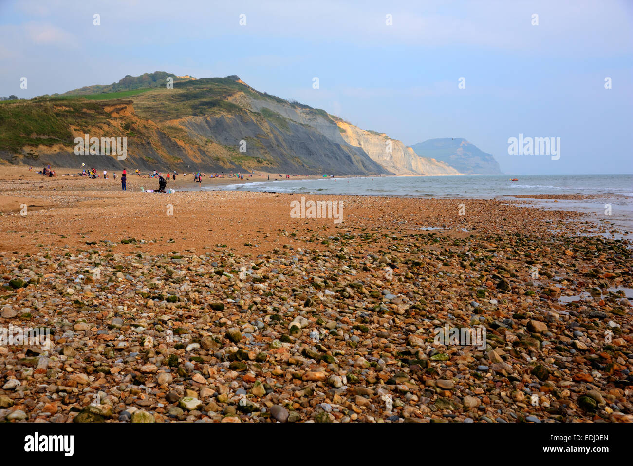 Pebbles on Charmouth beach and coast Dorset England UK with shingle and coastline Stock Photo