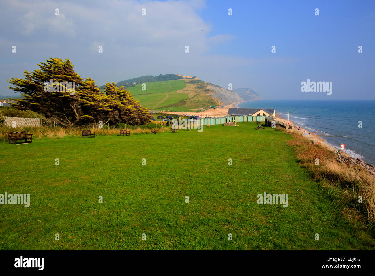 Charmouth coast Dorset England UK with pebbles shingle green field and coastline Stock Photo