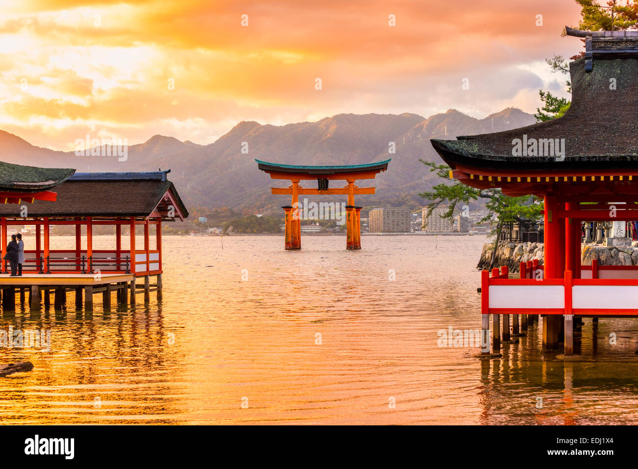 Torii Gate High Resolution Stock Photography and Images - Alamy