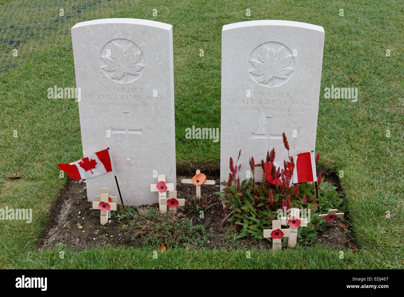 Gravestones of Canadian soldiers of the great war at Tyne Cot Cemetary in Zonnebeke, Belgien. Stock Photo