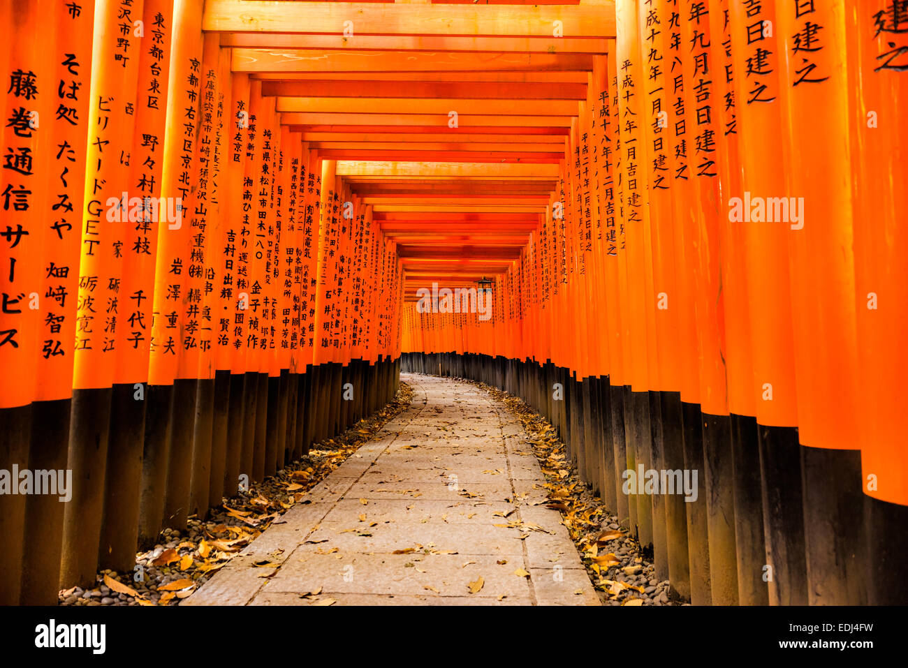 Sign At Religious Site Kyoto Japan Telling Visitors What Is Prohibited With Symbols Stock Photo Alamy