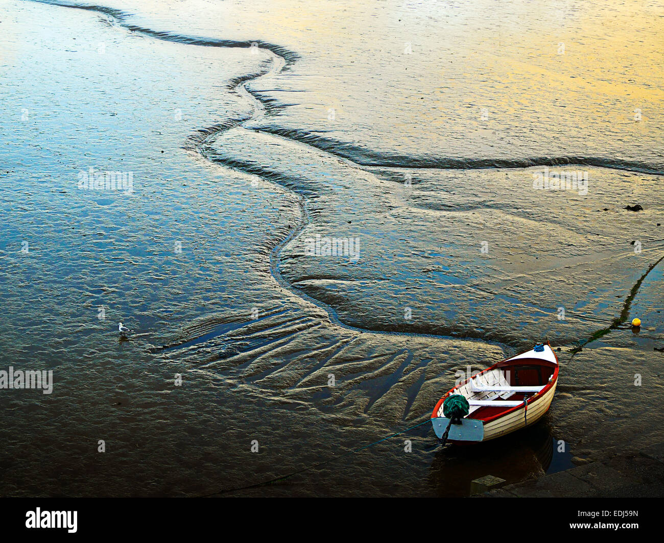 A lone boat resting in the silt at low tide in Carlingford Harbour, Co. Louth Ireland Stock Photo