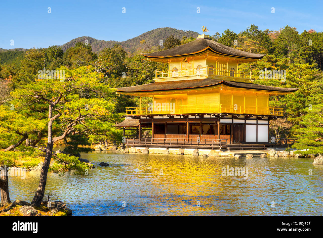 Kinkakuji (Golden Pavilion),a Zen temple in northern Kyoto, Japan. Stock Photo