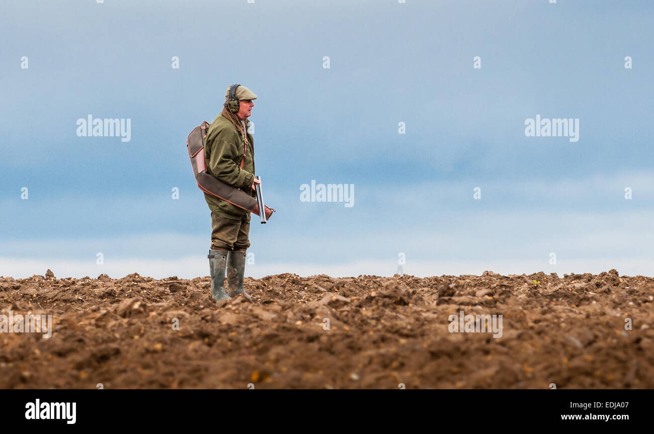 A man with a shot gun, or shotgun, on a pheasant shoot in England