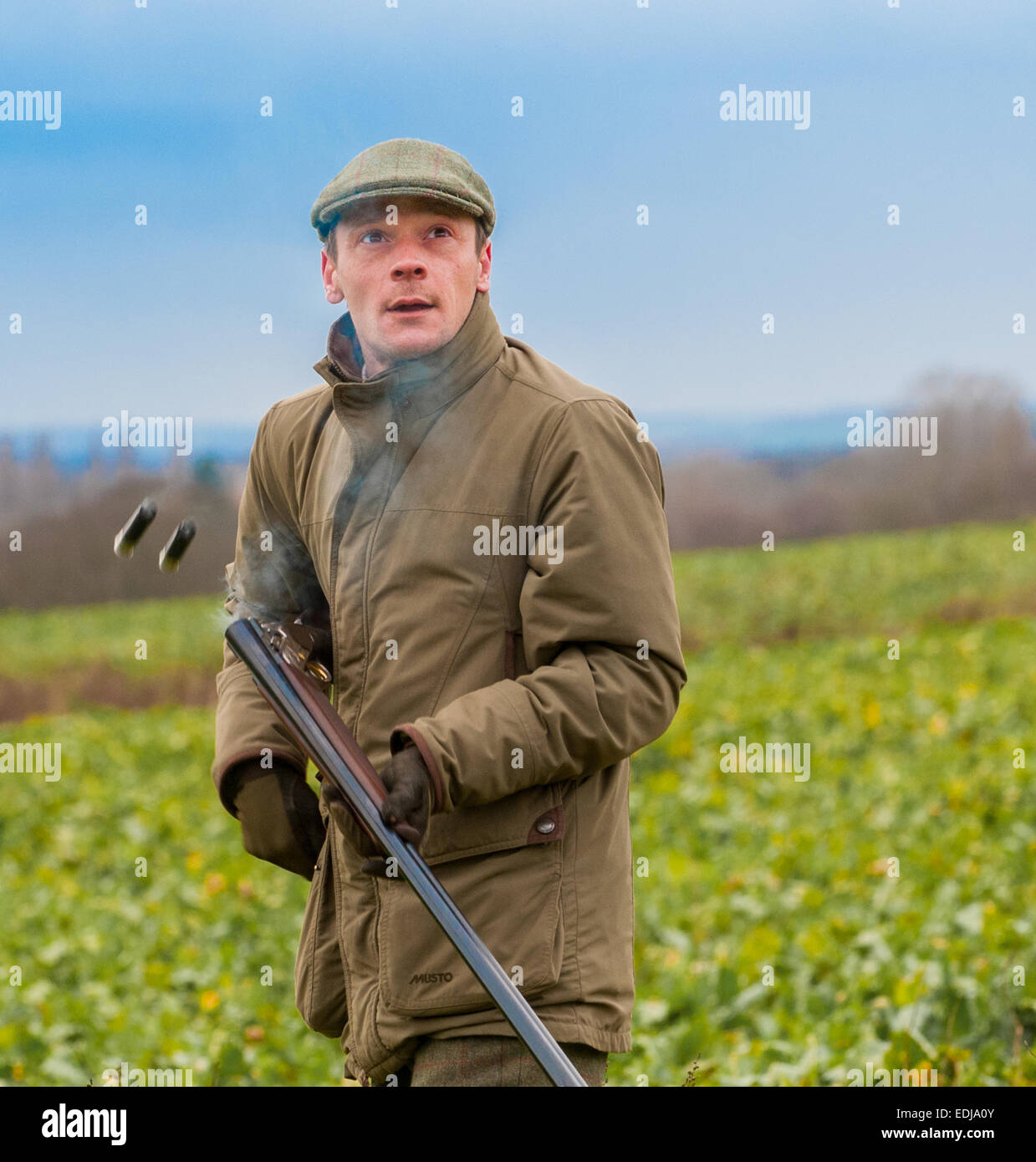 Man with shot gun, or shotgun, on a pheasant shoot in England having just taken a shot and the cartridges are ejecting to reload Stock Photo