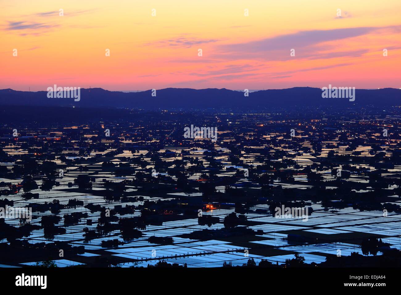 Paddy field at twilight, Nanto city, Toyama, Japan Stock Photo