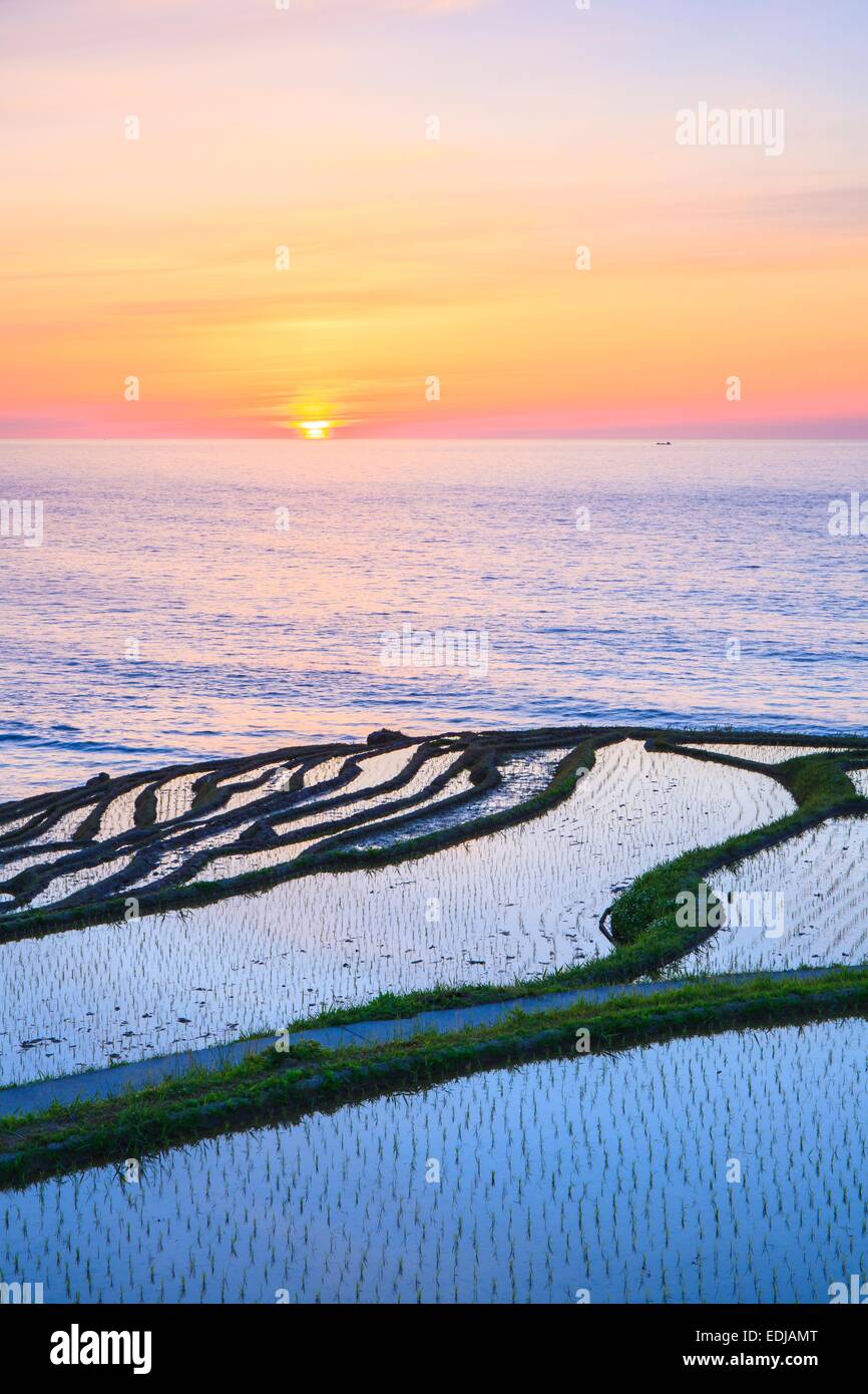 Rice terraces at sunset, Shiroyone senmaida,Ishikawa, Japan Stock Photo