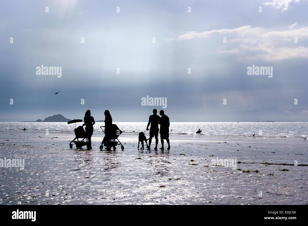 Silhouettes of two couples with prams walking on the beach and talking with each other during afternoon Stock Photo