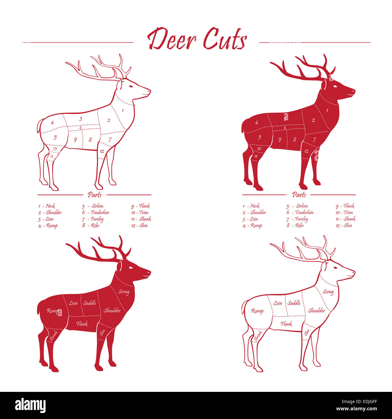 Deer / Venison meat cut diagram sheme - elements set red on white Stock Photo