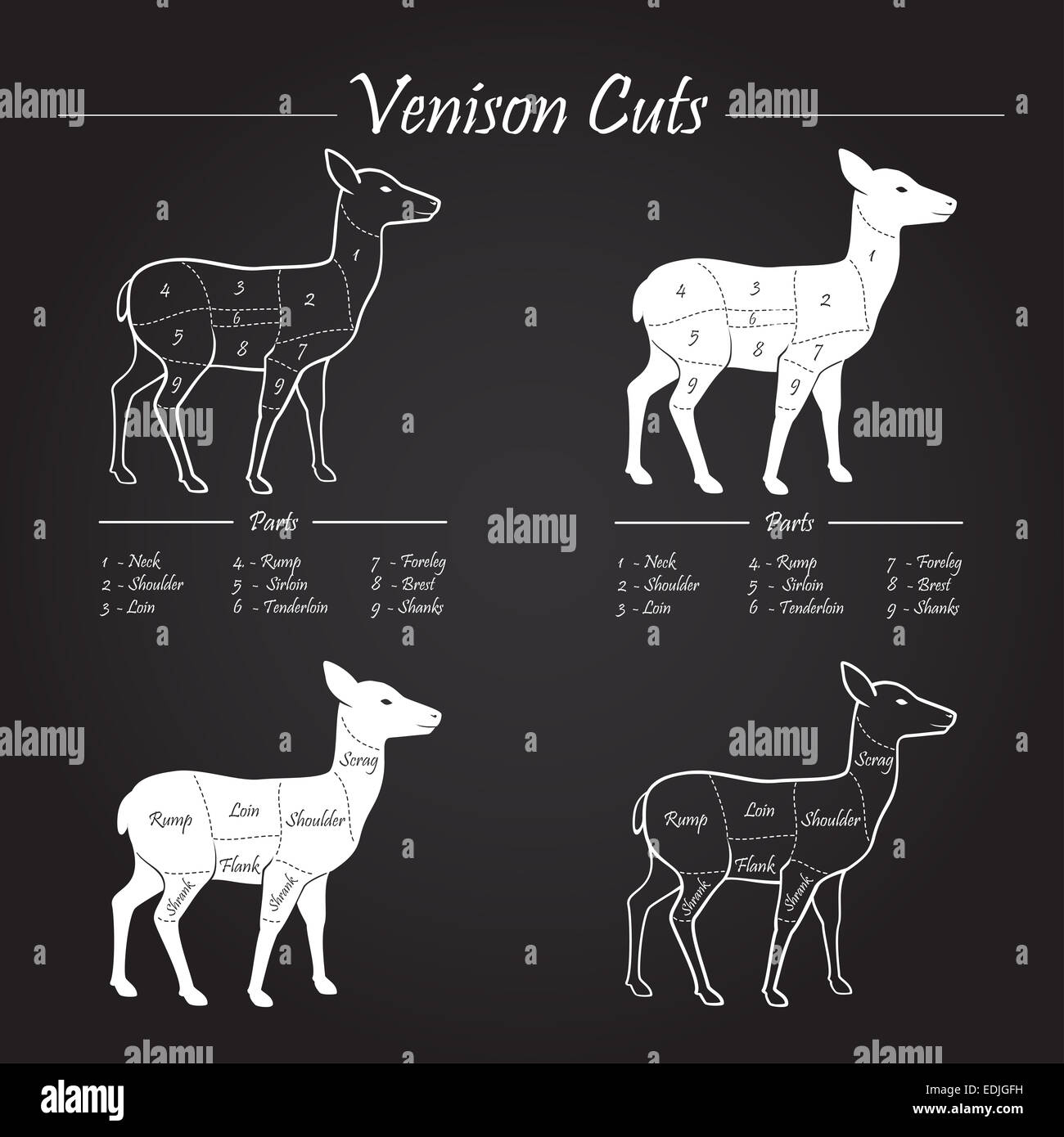 Venison meat cut diagram scheme - elements set on chalkboard Stock Photo