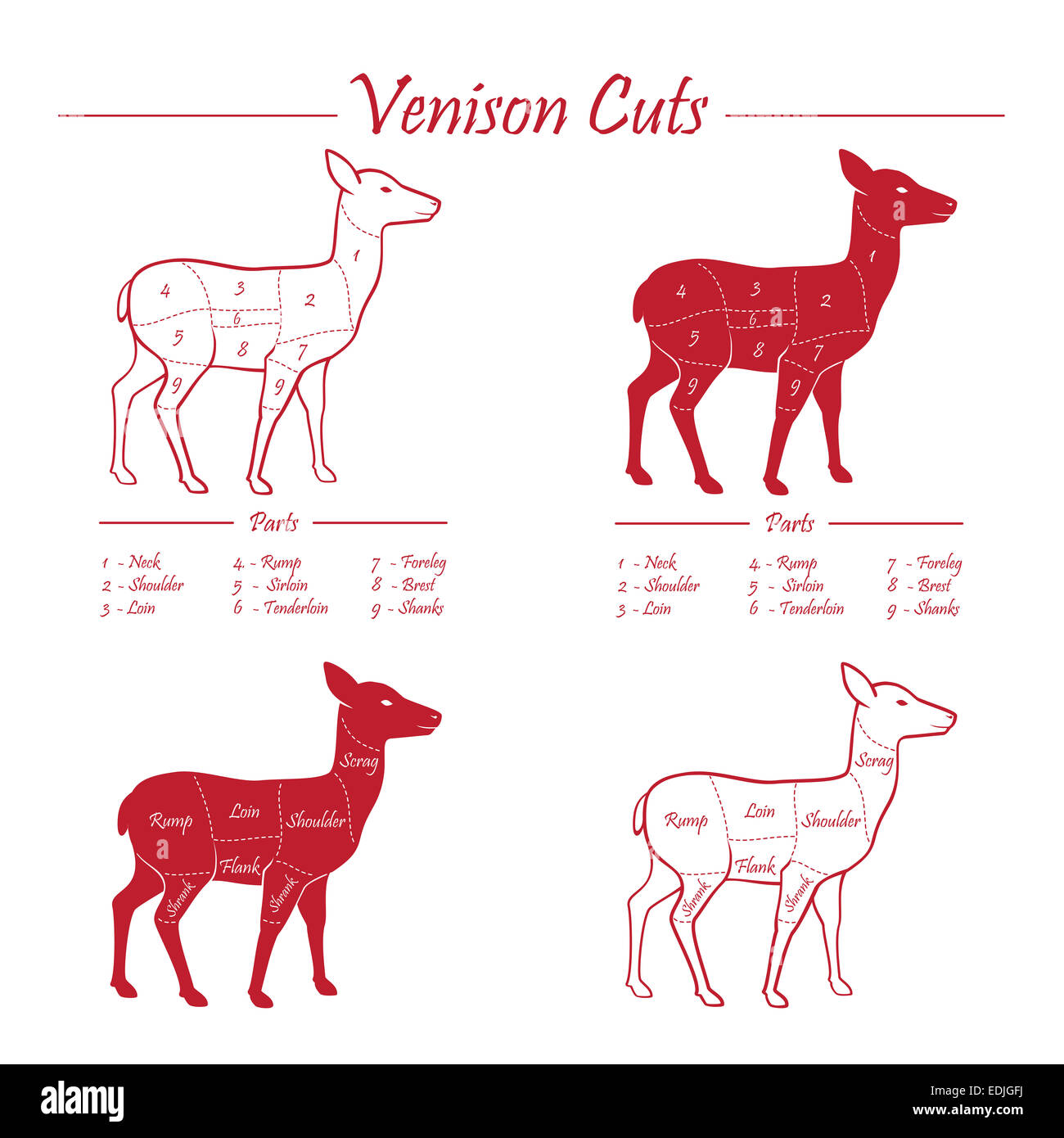 Venison meat cut diagram scheme - elements set on chalkboard Stock Photo