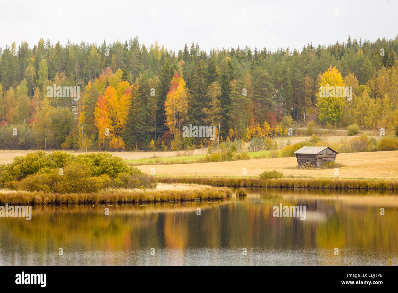 Beautiful autumn landscape Stock Photo - Alamy