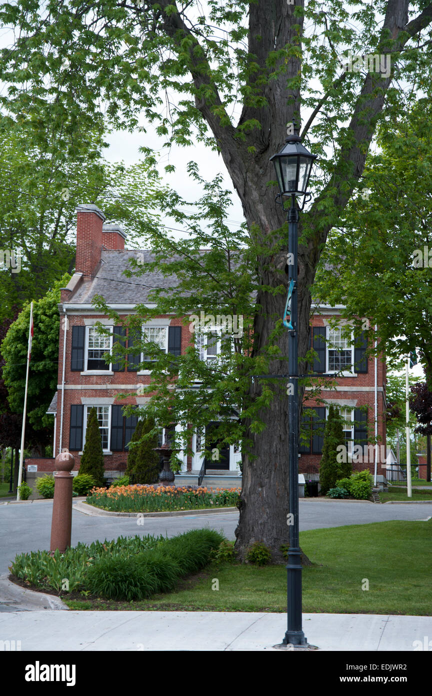 A tree in front of the Gananoque Town Hall, a small town in the