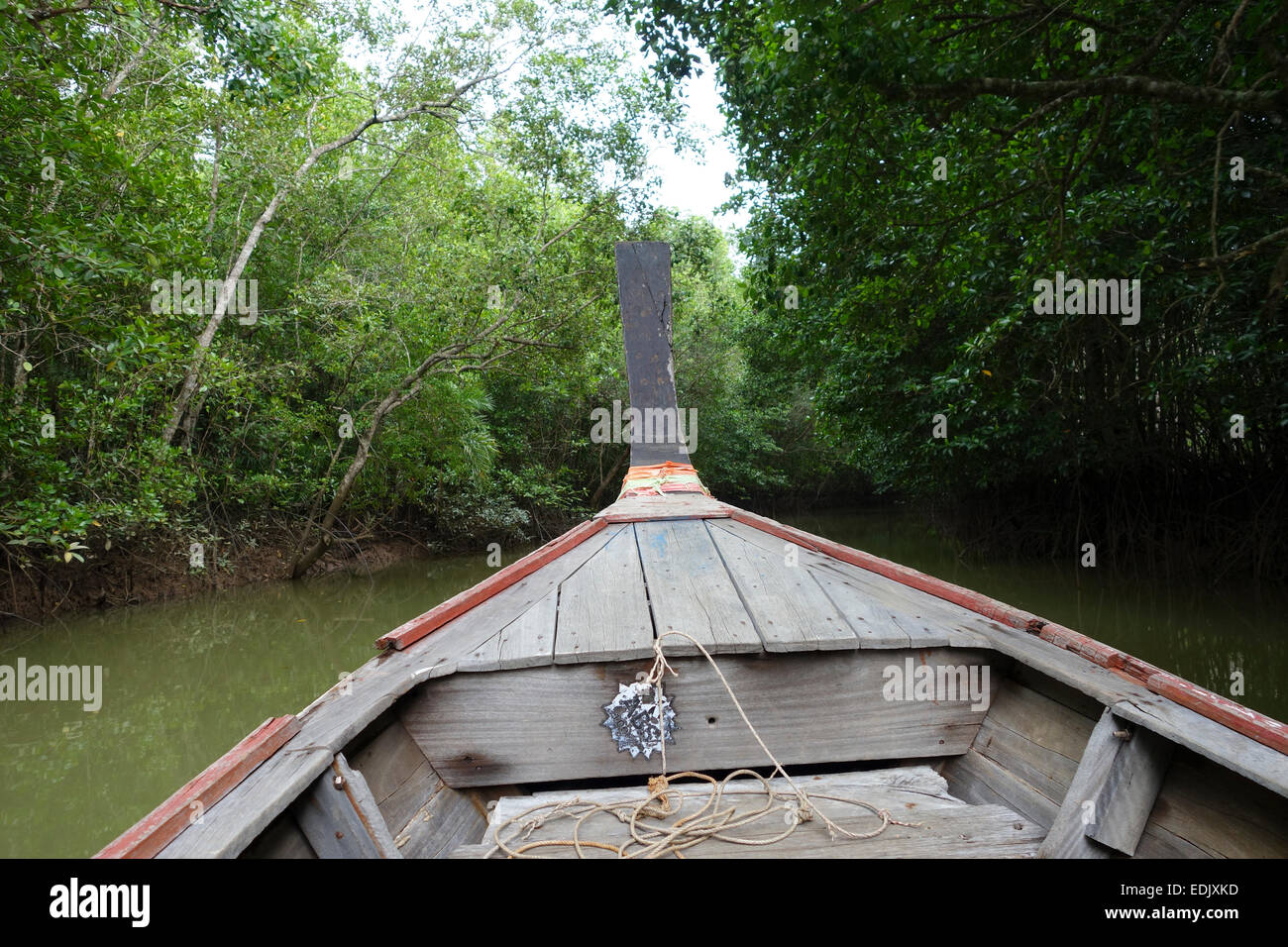 Long-tail boat, Mangrove forest in Krabi, Thailand, Southeast Asia Stock Photo