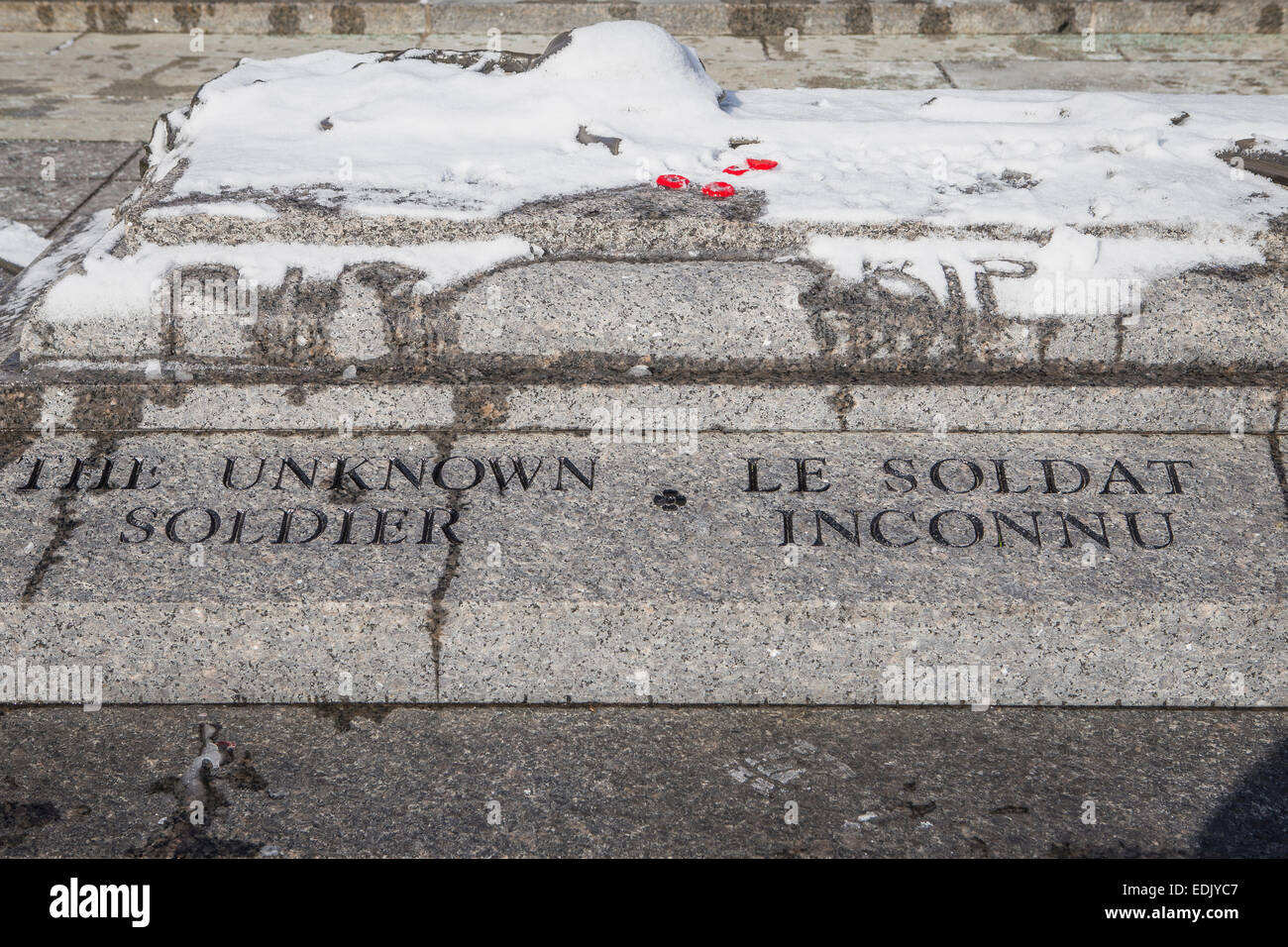 Remembrance poppies and the acronym RIP are seen on the Canadian Tomb ...